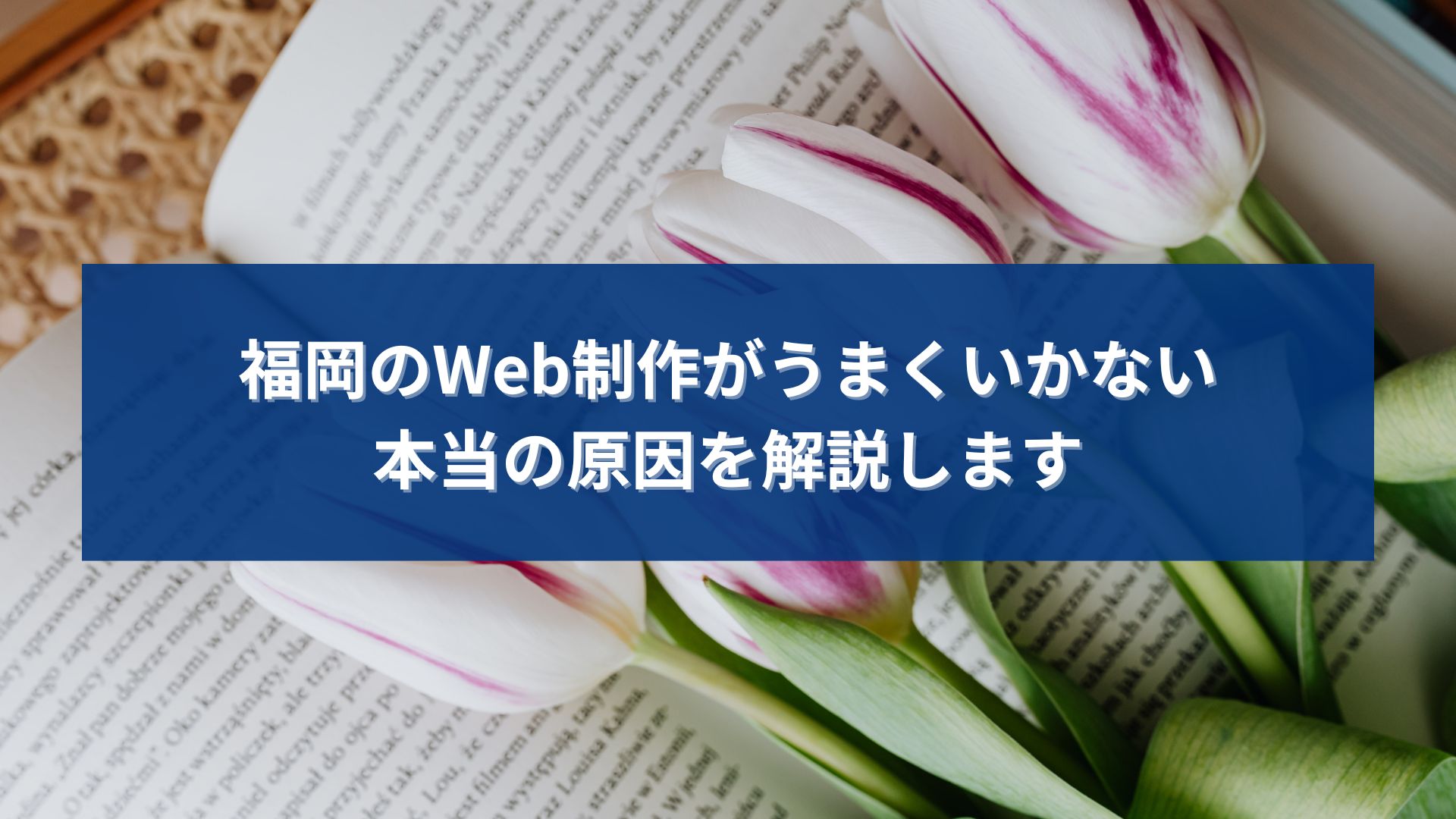 福岡でWeb制作を行っているが成果が出ず、本当の原因を探している事業者をイメージしたビジュアル